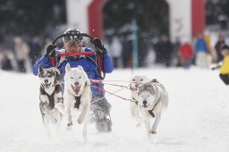 Lenzerheide 2013